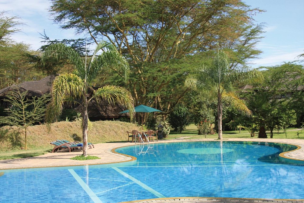 Naivasha Simba Lodge image 2
